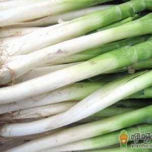 冬天怎样储存大葱？大葱的储存方法