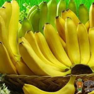 教你如何辨认是芭蕉还是香蕉