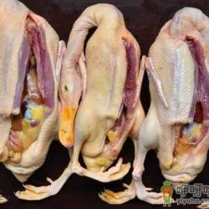 如何鉴别鸭肉是否鲜嫩？鉴别鸭肉老嫩的技巧
