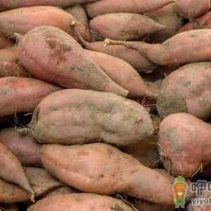 冬季便秘高发 多吃7种润肠食物