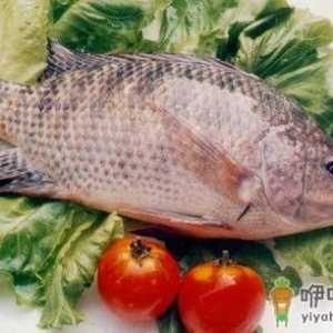 你真以为活鱼就是新鲜的吗？