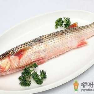 草鱼的介绍-草鱼的做法大全
