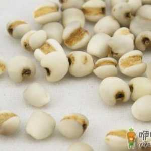 薏米能美容 薏米的吃法