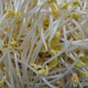 挑选新鲜的蔬菜小妙招 再也不用担心会被菜贩骗