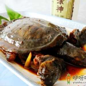 甲鱼怎么做好吃？甲鱼的做法与技巧