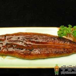 鳗鱼怎么做好吃？鳗鱼的做法大全
