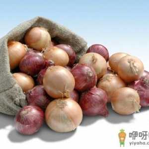 洋葱炖肉能消腻-健康吃洋葱的三种烹饪方式