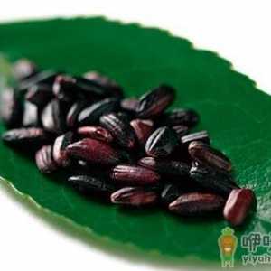 如何鉴别紫米的真假？紫米和黑米的区别