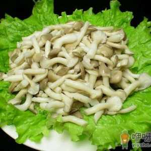 姬菇的营养价值-姬菇的做法