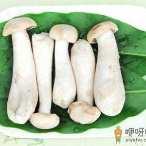 金福菇的做法-金福菇的功效与作用