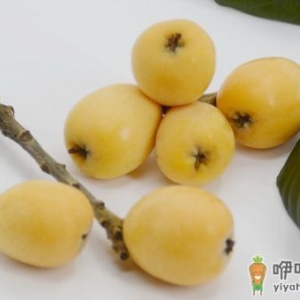 肺热咳嗽可以吃点枇杷