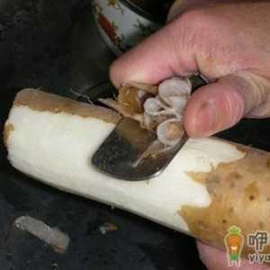 山药去皮又滑又粘 4个小妙招轻松削山药皮