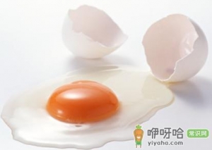 鸡蛋坏了能吃吗？为什么洗过的鸡蛋容易坏