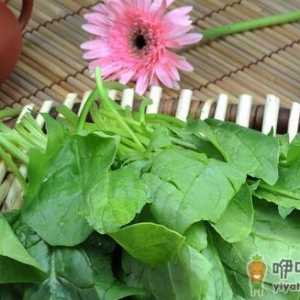 菠菜的功效及如何挑选好坏