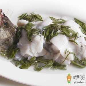 莼菜鲈鱼的做法-莼菜鲈鱼怎么做？