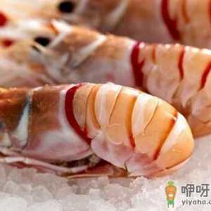 食材保鲜解冻技巧-让营养更和美味更优质