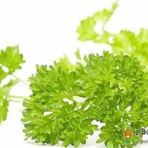感冒的人最好不要吃香菜