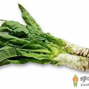 莴苣的功效 莴苣的做法