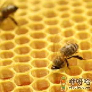 如何鉴别真假蜂胶