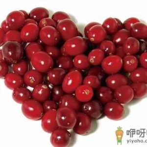 蔓越莓怎么吃？蔓越莓的功效