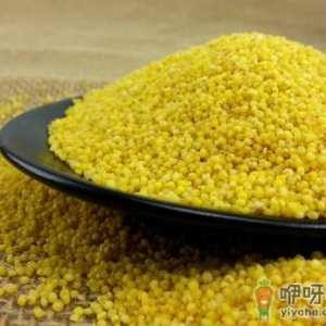 如何保存小米？小米的正确储存方法