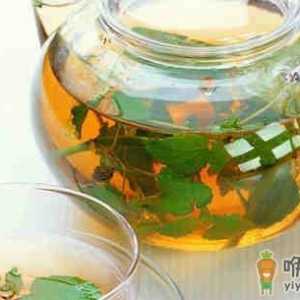 治疗风热感冒的七个食疗配方
