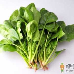 帮你挑选新鲜的好菠菜