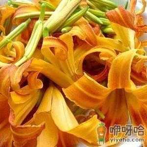 如何预防鲜黄花菜中毒？鲜黄花菜的制作方法