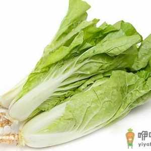 小白菜怎么做？小白菜的简介
