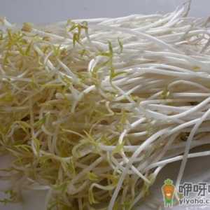 如何挑选优质豆芽？豆芽的挑选方法