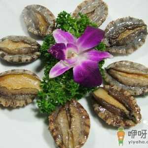 鲍鱼的清洗方法-鲍鱼如何保存