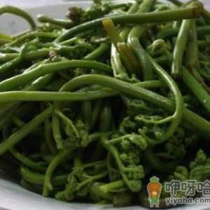 蕨菜怎么做好吃？蕨菜的做法大全