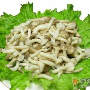 秀珍菇的营养价值 秀珍菇的做法