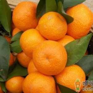什么样的砂糖橘最甜？砂糖橘的挑选技巧
