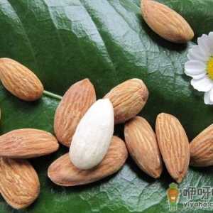 杏仁的功效与作用-每天吃几粒杏仁有助止咳