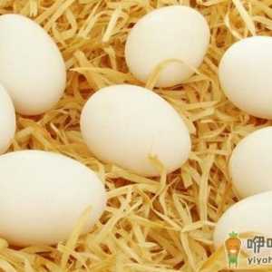 感冒不宜吃哪些食物？感冒患者饮食禁忌