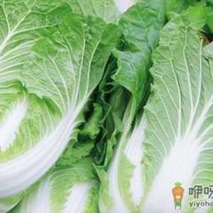 大白菜家常烹饪的小妙招