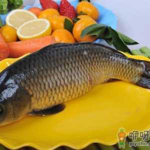 如何烹饪鲤鱼？鲤鱼怎么做好吃