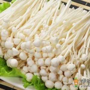 如何挑选金针菇？金针菇的挑选方法