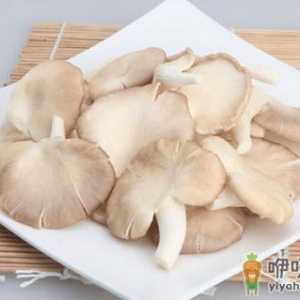 吃凤尾菇好吗？凤尾菇怎么做好吃？