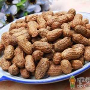 花生煮不烂怎么办？如何煮花生更容易软烂