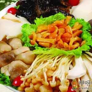 总胆红素偏高怎么办？总胆红素偏高应该吃什么