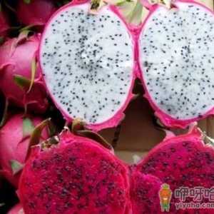 火龙果怎么做好吃？火龙果的做法大全