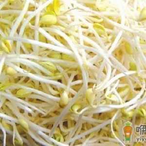 毒豆芽危害大 如何鉴别毒豆芽？