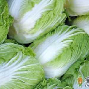 肠胃不好可以吃些什么调理 胃功能下降需要远离的食物