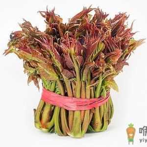 留住春天的味道 怎样保存香椿芽