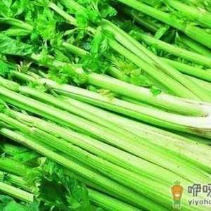 婴儿湿疹有什么症状？春季多吃芹菜可预防湿疹