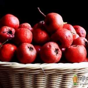 春节大吃大喝易消化不良 促消化的食物推荐