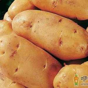 日常常吃哪些食物养生防病