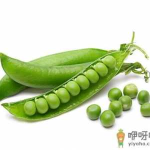豌豆的营养价值-豌豆的做法